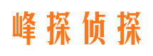 吉林市场调查